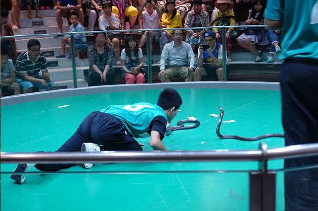 20231002696899.jpg 20231002696899.jpg