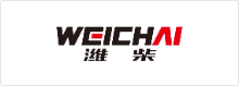 淮柴_語言橋翻譯合作案例